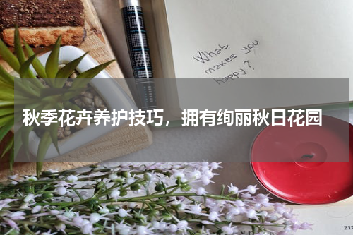  秋季花卉养护技巧，拥有绚丽秋日花园