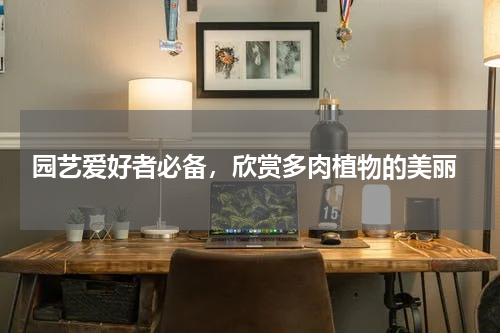  园艺爱好者必备，欣赏多肉植物的美丽