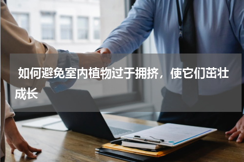  如何避免室内植物过于拥挤，使它们茁壮成长