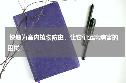  快速为室内植物防虫，让它们远离病害的困扰