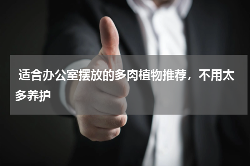  适合办公室摆放的多肉植物推荐，不用太多养护