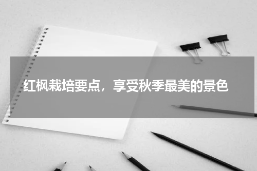  红枫栽培要点，享受秋季最美的景色