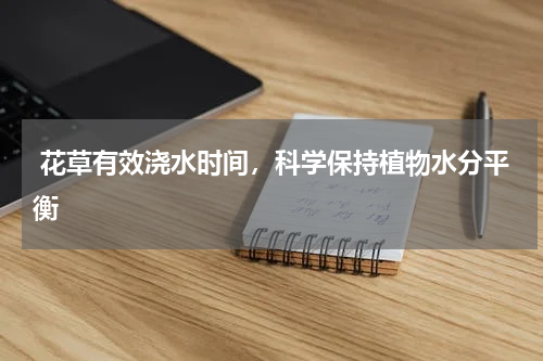  花草有效浇水时间，科学保持植物水分平衡