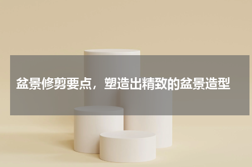  盆景修剪要点，塑造出精致的盆景造型