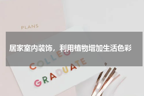  居家室内装饰，利用植物增加生活色彩