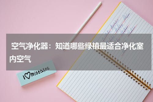  空气净化器：知道哪些绿植最适合净化室内空气