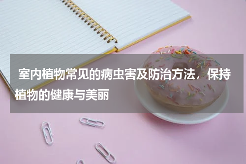  室内植物常见的病虫害及防治方法，保持植物的健康与美丽