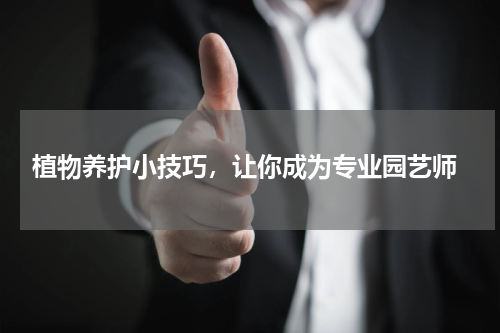  植物养护小技巧，让你成为专业园艺师
