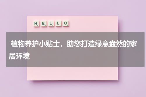  植物养护小贴士，助您打造绿意盎然的家居环境