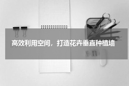  高效利用空间，打造花卉垂直种植墙