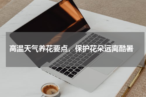 高温天气养花要点，保护花朵远离酷暑