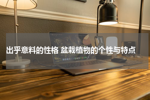  出乎意料的性格 盆栽植物的个性与特点