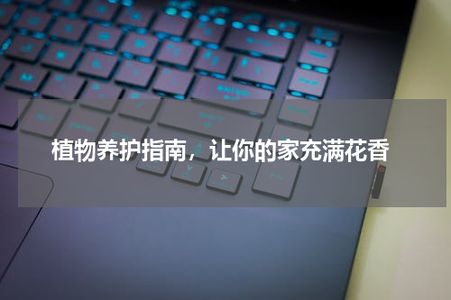  植物养护指南，让你的家充满花香