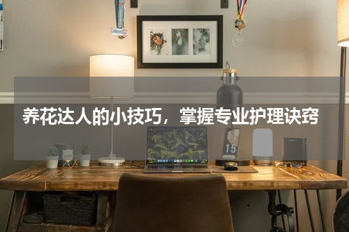  养花达人的小技巧，掌握专业护理诀窍