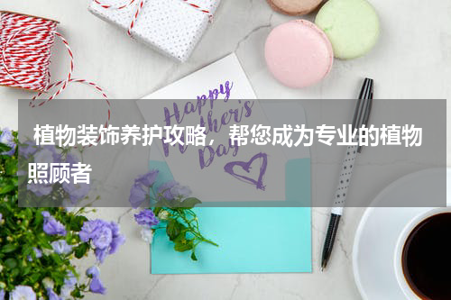  植物装饰养护攻略，帮您成为专业的植物照顾者