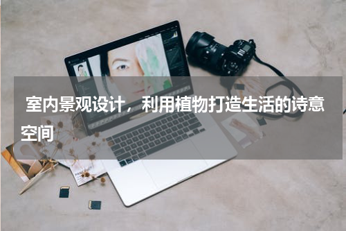  室内景观设计，利用植物打造生活的诗意空间
