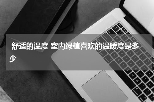  舒适的温度 室内绿植喜欢的温暖度是多少 