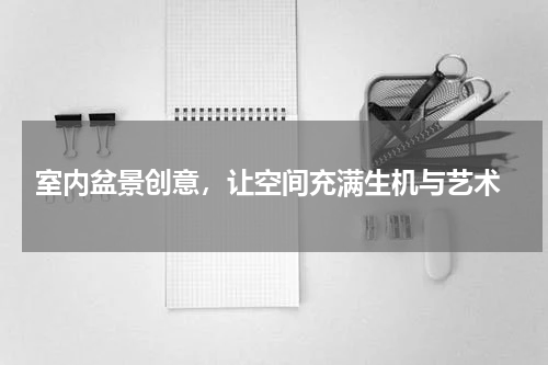  室内盆景创意，让空间充满生机与艺术