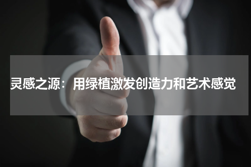  灵感之源：用绿植激发创造力和艺术感觉