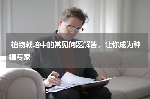  植物栽培中的常见问题解答，让你成为种植专家