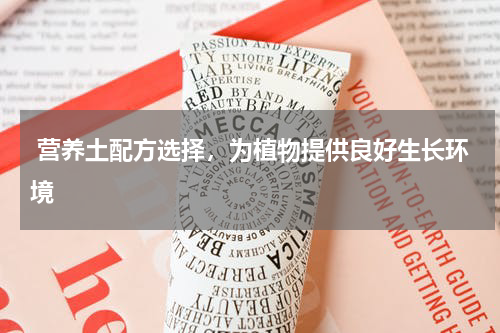  营养土配方选择，为植物提供良好生长环境
