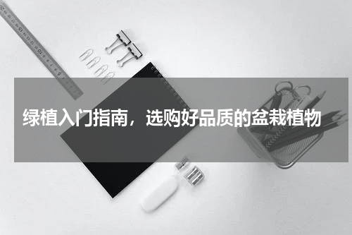  绿植入门指南，选购好品质的盆栽植物