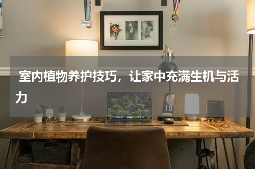  室内植物养护技巧，让家中充满生机与活力