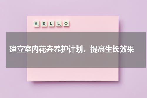  建立室内花卉养护计划，提高生长效果