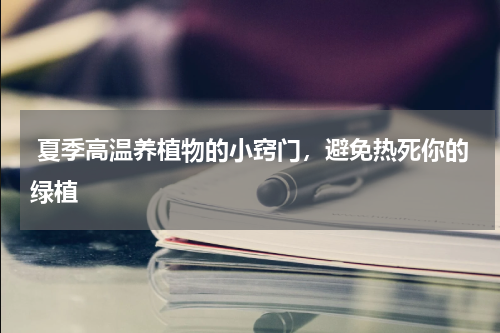 夏季高温养植物的小窍门，避免热死你的绿植