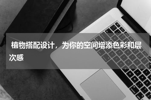  植物搭配设计，为你的空间增添色彩和层次感