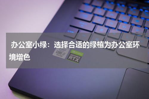  办公室小绿：选择合适的绿植为办公室环境增色
