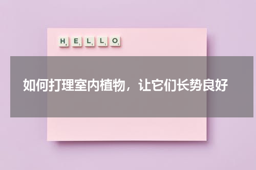  如何打理室内植物，让它们长势良好