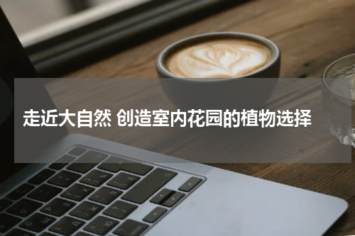  走近大自然 创造室内花园的植物选择