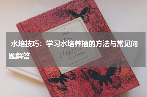  水培技巧：学习水培养植的方法与常见问题解答