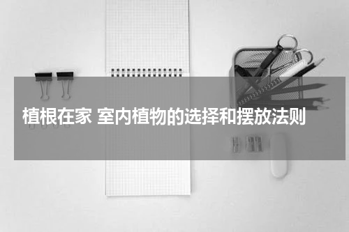  植根在家 室内植物的选择和摆放法则