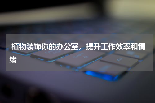  植物装饰你的办公室，提升工作效率和情绪