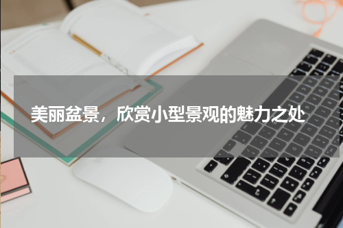  美丽盆景，欣赏小型景观的魅力之处