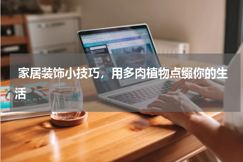 家居装饰小技巧，用多肉植物点缀你的生活