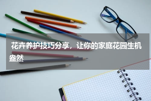  花卉养护技巧分享，让你的家庭花园生机盎然