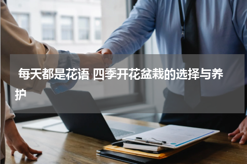 每天都是花语 四季开花盆栽的选择与养护