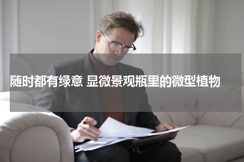 随时都有绿意 显微景观瓶里的微型植物