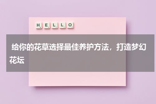  给你的花草选择最佳养护方法，打造梦幻花坛