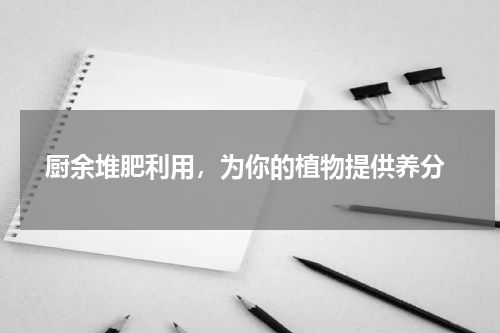  厨余堆肥利用，为你的植物提供养分