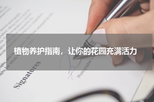  植物养护指南，让你的花园充满活力