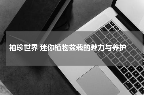  袖珍世界 迷你植物盆栽的魅力与养护