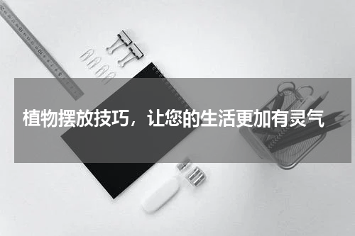  植物摆放技巧，让您的生活更加有灵气