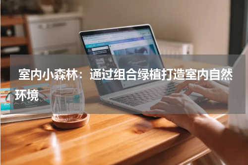  室内小森林：通过组合绿植打造室内自然环境