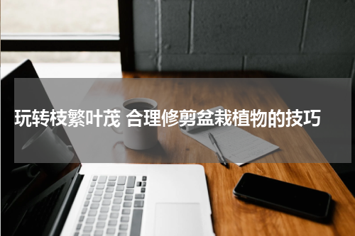  玩转枝繁叶茂 合理修剪盆栽植物的技巧