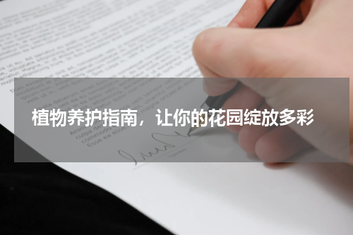  植物养护指南，让你的花园绽放多彩