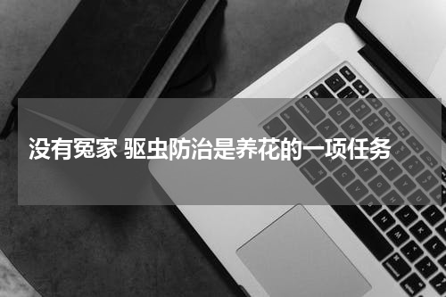  没有冤家 驱虫防治是养花的一项任务